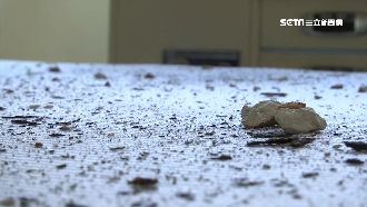 海砂屋都更延宕10年！住戶控北市府