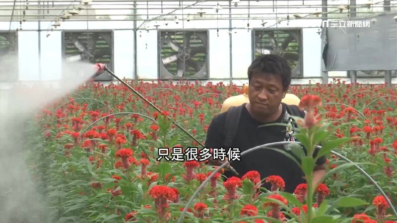 保障變多！小英規劃「農漁民月退金」