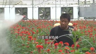 保障變多！小英規劃「農漁民月退金」