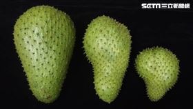 臺東區農業改良場