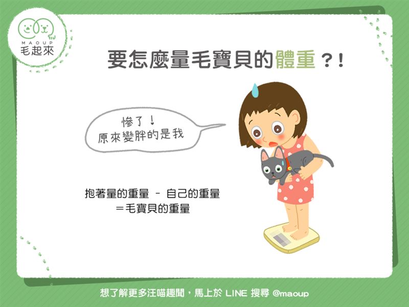 喵汪老亂動　要怎麼量毛寶貝的體重呢