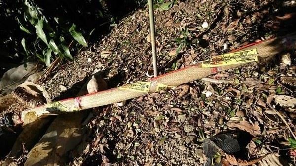 他見「貼符草蓆」嚇壞！內行揭曉答案