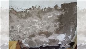 客廳全壁癌！租屋女想「買油漆自己救」　過來人曝繁瑣4步（翻攝自爆系知識家）