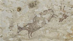 最新研究指出，描繪史前狩獵場景的一幅印尼洞穴壁畫，可能是世界上最古老的具象藝術品，年代可追溯至約4萬4000年前。（圖取自澳洲格里菲斯大學網頁news.griffith.edu.au）