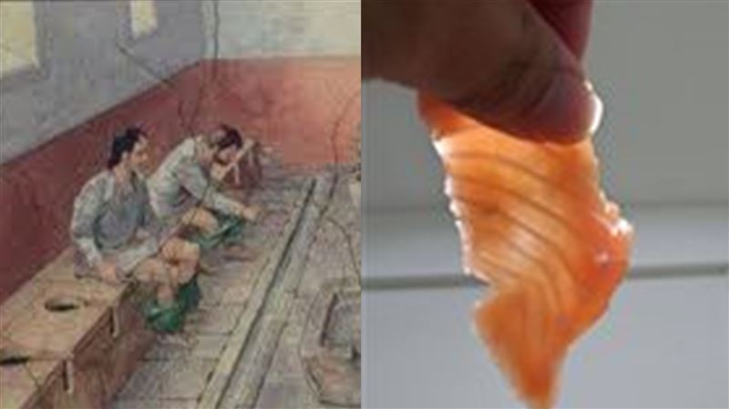 英皇室拿鮭魚擦屁股　俄國還拿X脖子