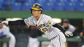 島田海吏敲出追平陽春全壘打，獲選單場最有價值球員。（圖／中職提供）