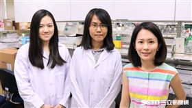 陽明大學與美國國衛院合作發現，膽囊癌與12種常見金屬有關聯。（圖／陽明大學提供）