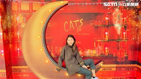 ▼▲（圖／環球影業提供）貓