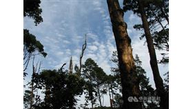 巴西國家太空署森林砍伐警報系統的監控顯示，2019年11月亞馬遜地區森林砍伐面積創下2015年以來最高紀錄，達563.03平方公里。（中央社檔案照片）