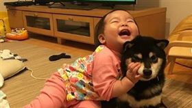 賣萌大對決！黑柴PK小鏟屎官　下1秒怒踹：你太犯規了
（圖／翻攝自IG＠shiba_cromartie）