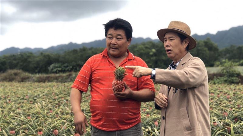 草地狀元／花蓮大金主　賺到手軟