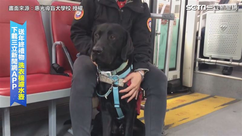 導盲犬出任務！　搭公車逛市場樣樣行