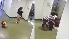 狗,美國,拉繩,電梯,博美狗,寵物,飼主,搶救,死劫,勒死,項圈,解救,Johnny Mathis　圖／翻攝自YouTube