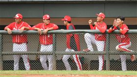 味全龍明年將從二軍開始打起。（圖／中職提供）