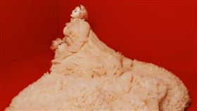 蔡依林高雄巨蛋演唱會門票5分鐘完售。（圖／翻攝自蔡依林臉書）