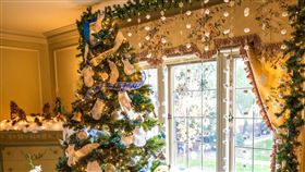 聖誕節，聖誕樹（圖／翻攝自unsplash）