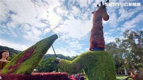 晴天
圖／資料照