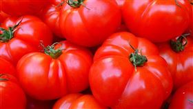 番茄　圖／pixabay