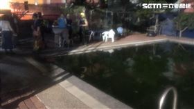 大台北潛水運動中心,女童,溺水