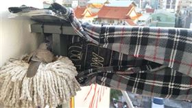 好神拖,斑鳩,鳥巢,下蛋(爆廢公社)