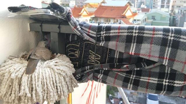 好神拖「築巢下蛋」斑鳩竟聽得懂人話