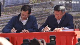 雙子星。（圖／記者陳韋帆攝影）