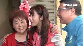 許淑華拚深藍選區　綠營大咖輪番站台