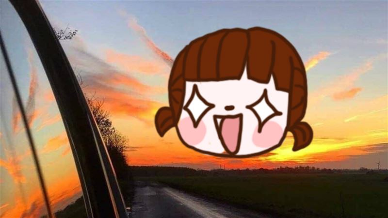 「野生火焰鳥」霸氣展翅！驚豔網友