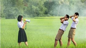 名家／草根（勿用）