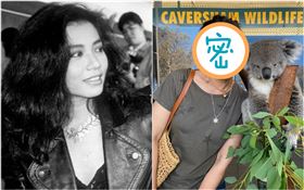 鍾楚紅與無尾熊合照（圖／翻攝自鍾楚紅微博）