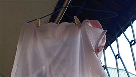 圖／翻攝自爆廢公社公開版臉書