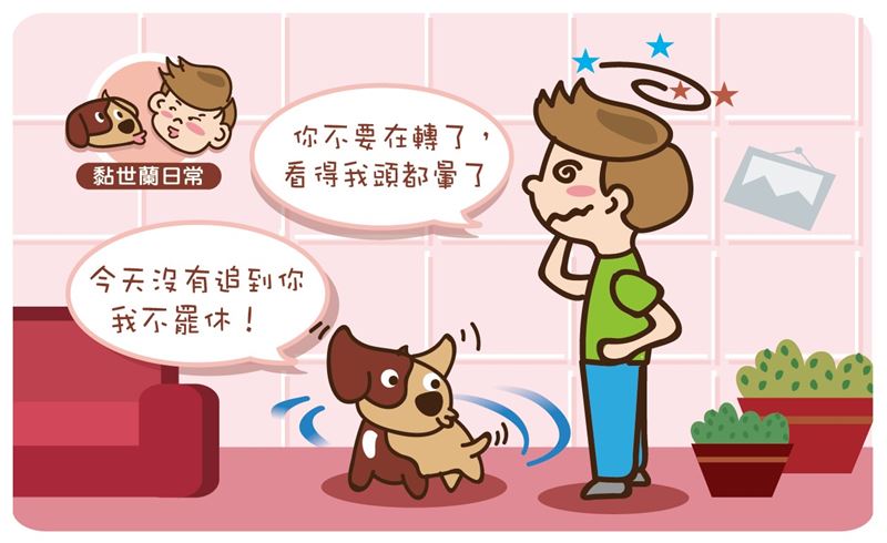 狗狗追著尾巴跑　代表心裡可能有壓力