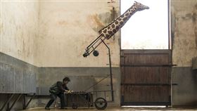 超人氣動物園 劇照