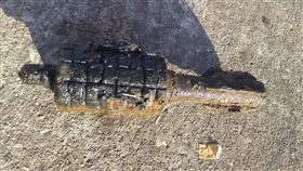 手榴彈,釣魚,尋寶,美國,翻攝臉書