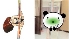 鋼管,一字馬,解鎖新姿勢,妹子,軟Q,筋骨柔軟,鋼管書,爆廢公社二館