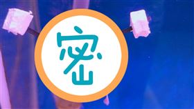 魚鰾,浮力,平衡,輪椅,設計,老公,神人　圖／翻攝臉書