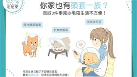 名家專用／毛起來MAOUP（勿用）