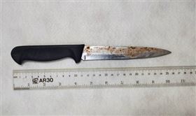 宜蘭,臟器,乾姐,腳踏車,