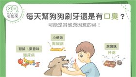 名家專用／毛起來MAOUP（勿用）