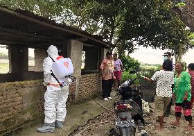 印尼宣布感染非洲豬瘟  採必要措施控