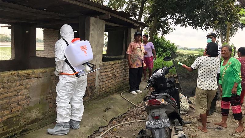 印尼官員證實非洲豬瘟　近3萬豬隻亡