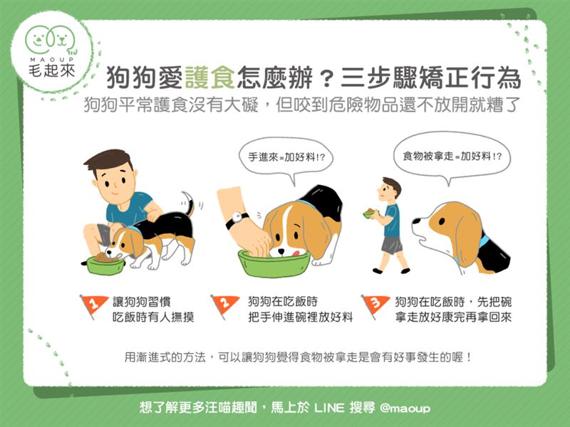狗狗老是護食怎麼辦？