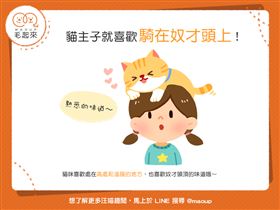 名家專用／毛起來MAOUP（勿用）