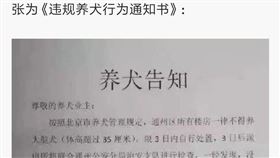 中國歌手朴樹日前發微博指北京通州區要求飼主限期3天處理大型犬，否則發現後沒收，網上則傳出飼主排隊為小狗安樂死。（圖取自微博）