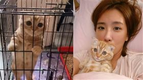 小禎(翻攝自臉書)