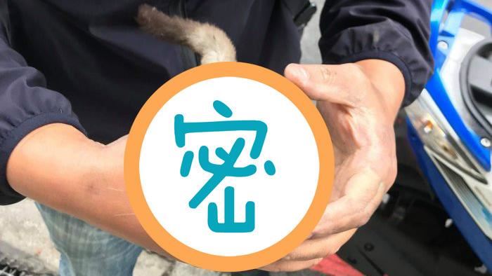 毛毛的在動…女騎士裙子掉出一隻松鼠