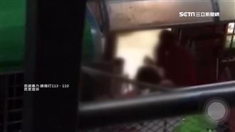 龜山幼童疑遭狂鞭暴哭　教育局開罰了