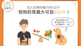 
名家專用／毛起來MAOUP（勿用）