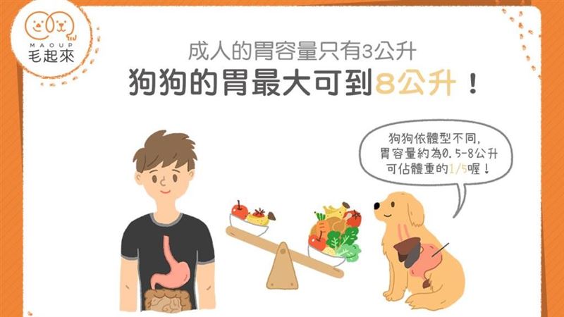 家有大胃王！狗狗的胃最大可到8公升