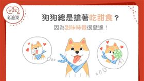 名家專用／毛起來MAOUP（勿用）
